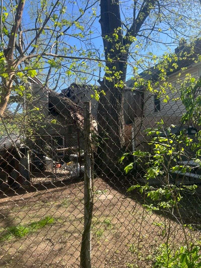 Overhanging Branches May Be Fair Game To Trim Overhanging Branches May Be Fair Game To Trim