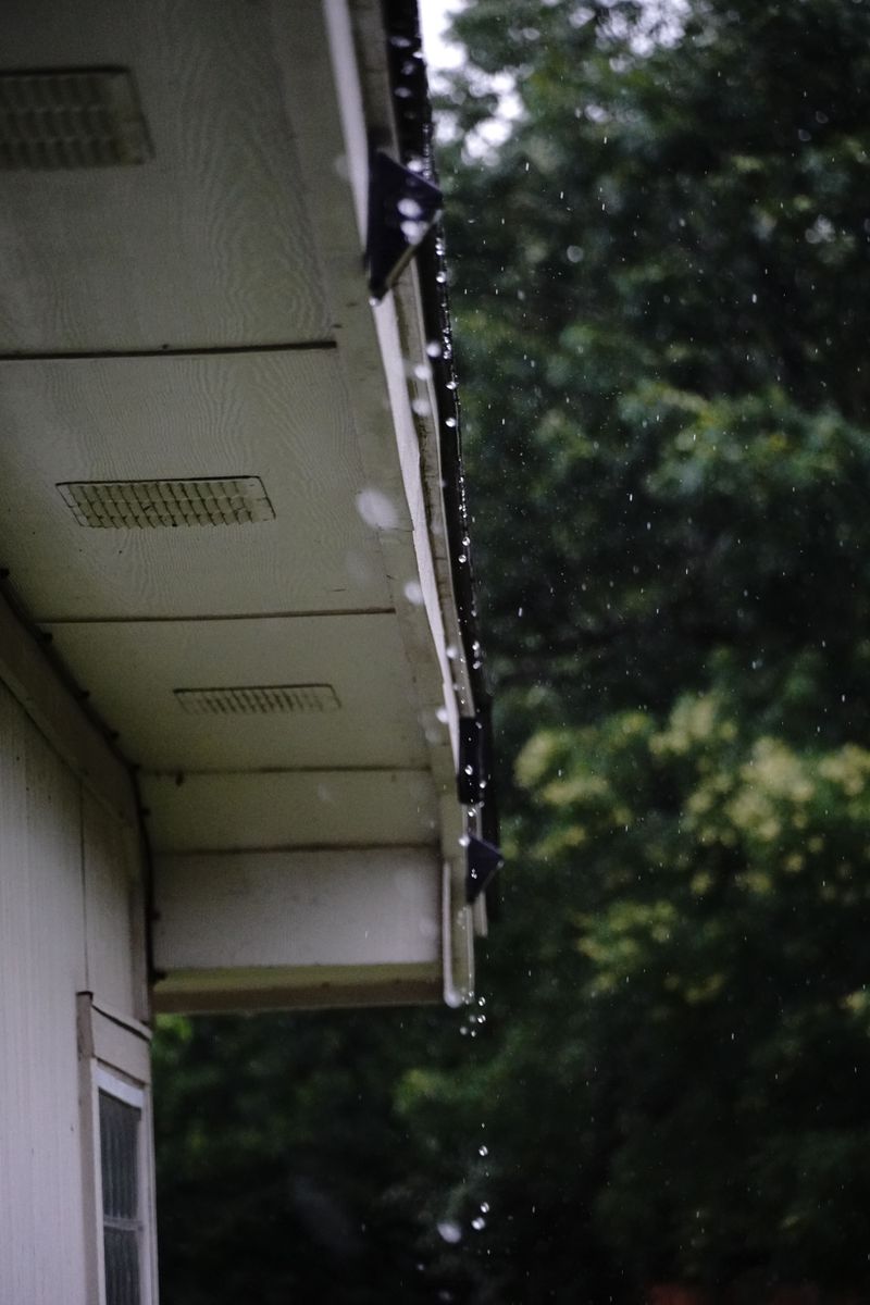 Overhangs And Eaves Shield Blooms From Storms Overhangs And Eaves Shield Blooms From Storms