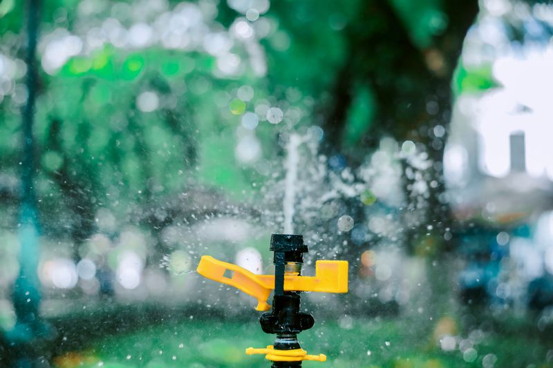 Overhead Sprinklers Make Watering Time More Important