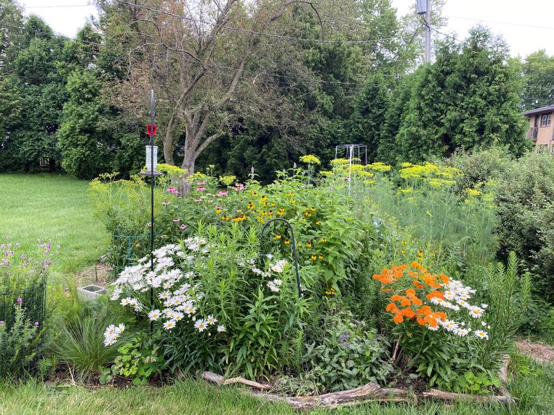 Overlapping Blooms Prevent The Midseason Food Gap