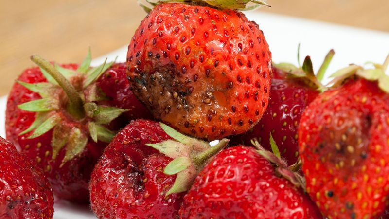Overripe Fruit Turning Into A Fly Magnet