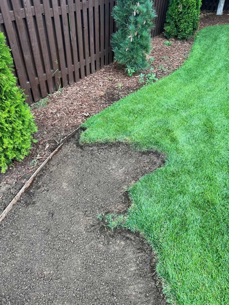 Overwatering Creates Softer Soil For Easy Digging Overwatering Creates Softer Soil For Easy Digging