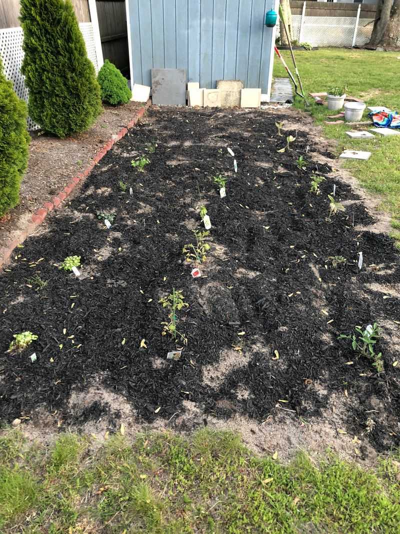 Overwatering Keeps Outdoor Roach Shelters Comfortable Overwatering Keeps Outdoor Roach Shelters Comfortable