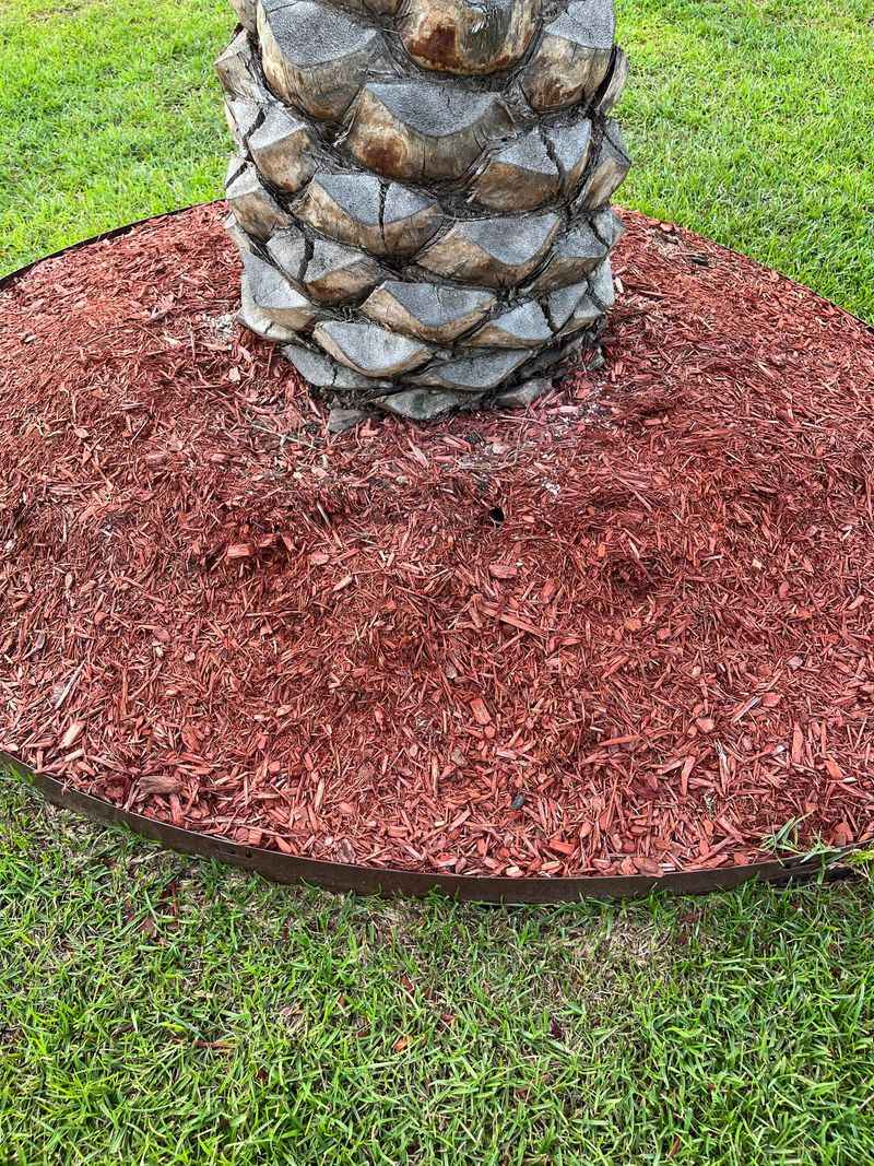 Pairing It With Other Fire Ant Prevention Steps Pairing It With Other Fire Ant Prevention Steps