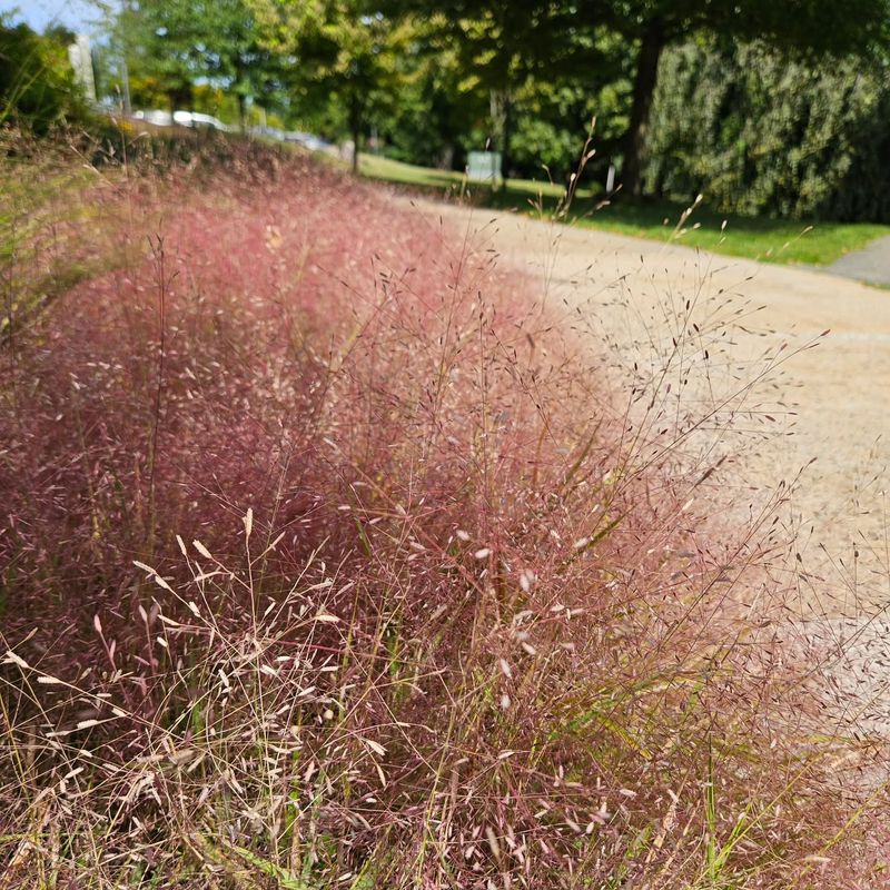 Pairing Smart Planting With Bait Treatments Pairing Smart Planting With Bait Treatments