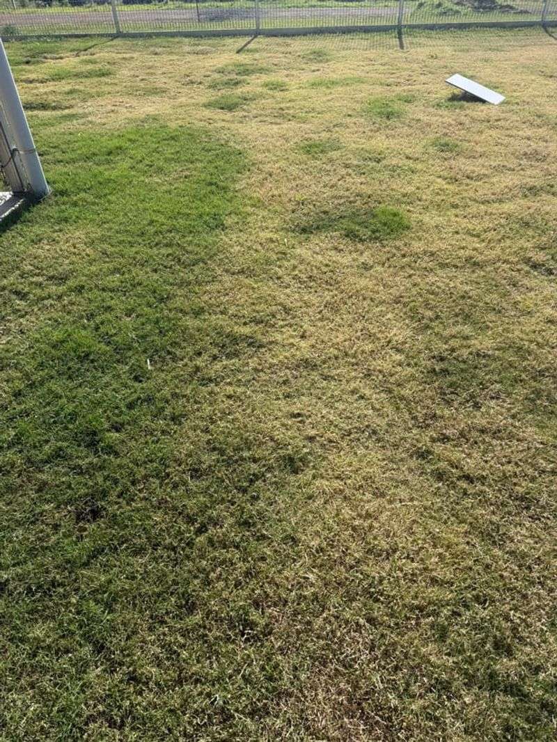 Patches That Widen Overnight Instead Of Drying Slowly