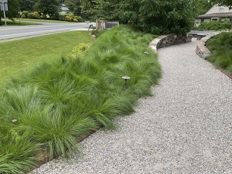 Pennsylvania Sedge Softens Dry Borders Pennsylvania Sedge Softens Dry Borders