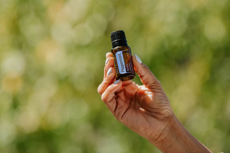 Peppermint Oil Overwhelms Their Senses
