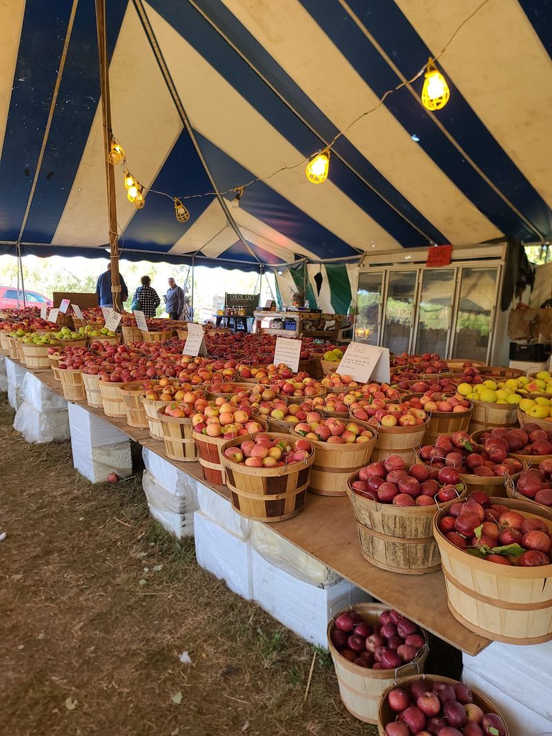Phil's U-Pick Orchard, Huntington