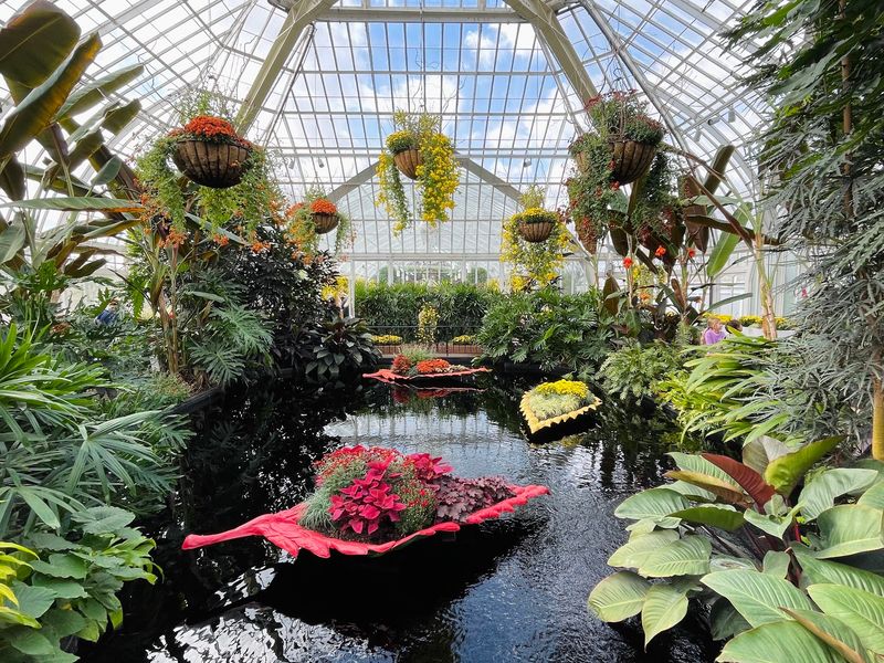 Phipps Conservatory Brings Rainforest Vibes To Pittsburgh