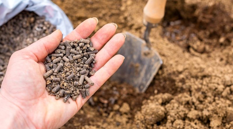 Phosphorus Can Leave The Garden With Runoff And Eroding Soil