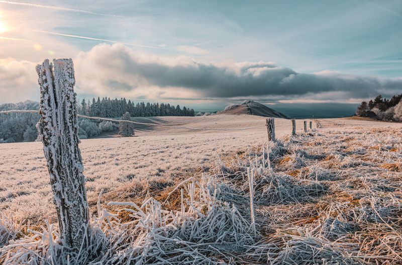 Pick A Frost-Protected Site Pick A Frost-Protected Site
