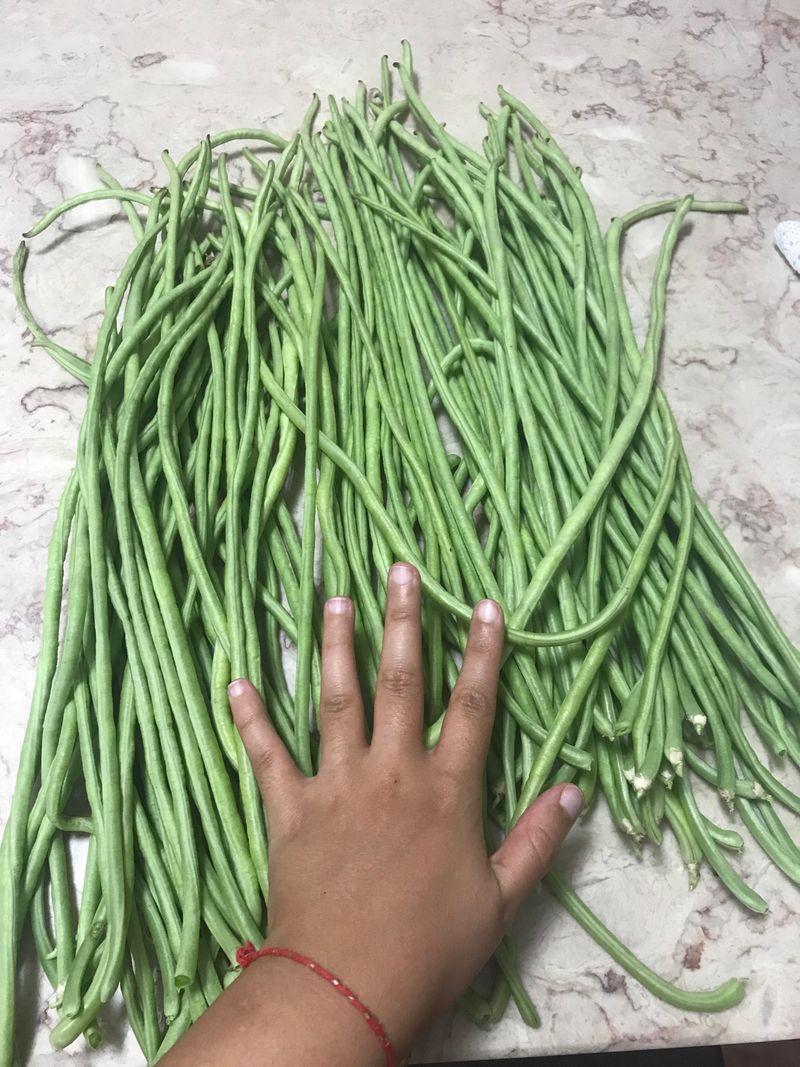 Pick Often To Keep Quality High