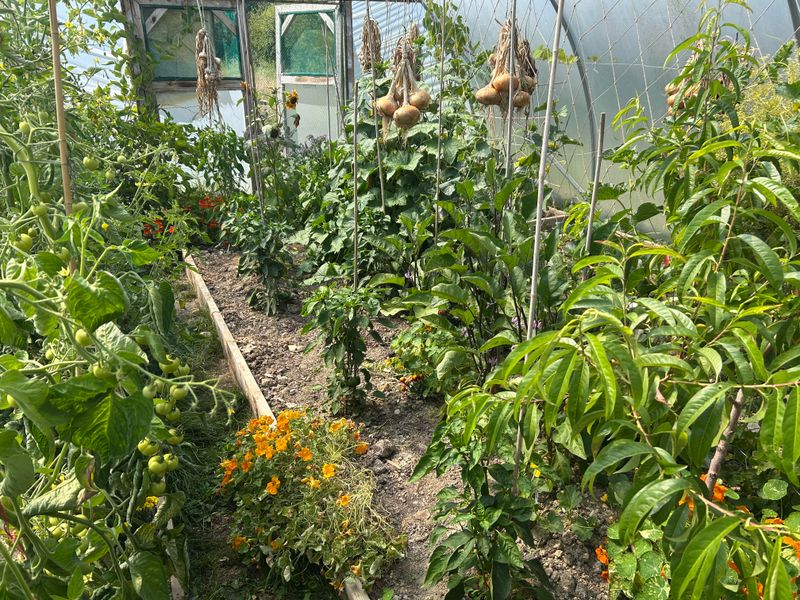 Plan Next Year's Crop Rotation