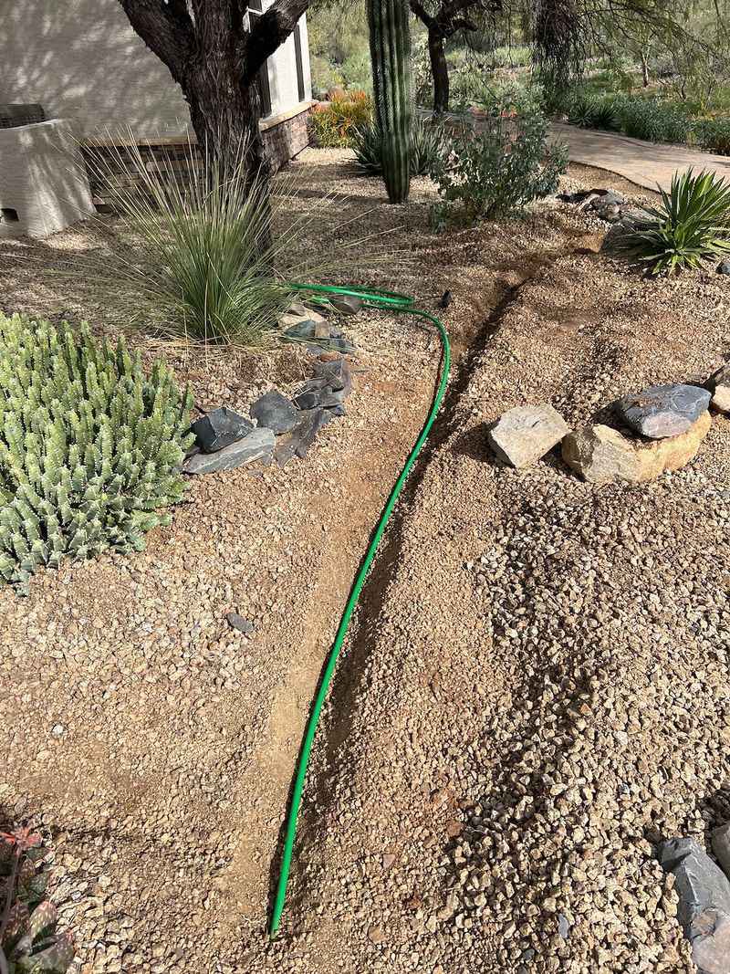 Plant Growth Can Shift Emitters Away From The Root Zone
