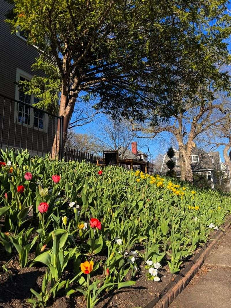 Plant Smart Now For A Better Spring Display