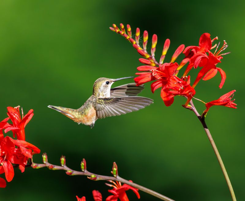 Planting Late Bloomers To Fuel Their Journey