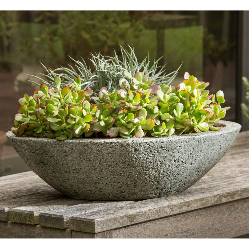Plants Matched To The Porch's Light And Heat Plants Matched To The Porch's Light And Heat