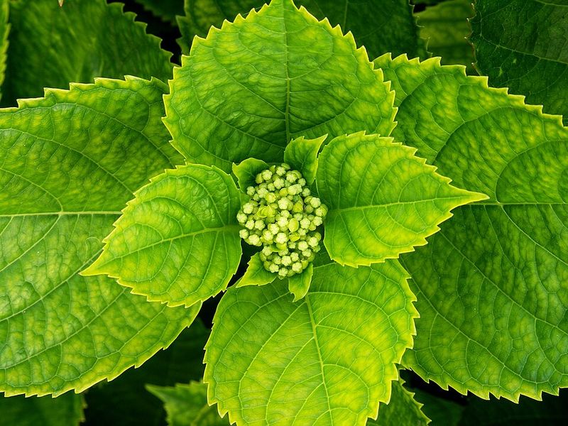 Poor Air Circulation Traps Moisture