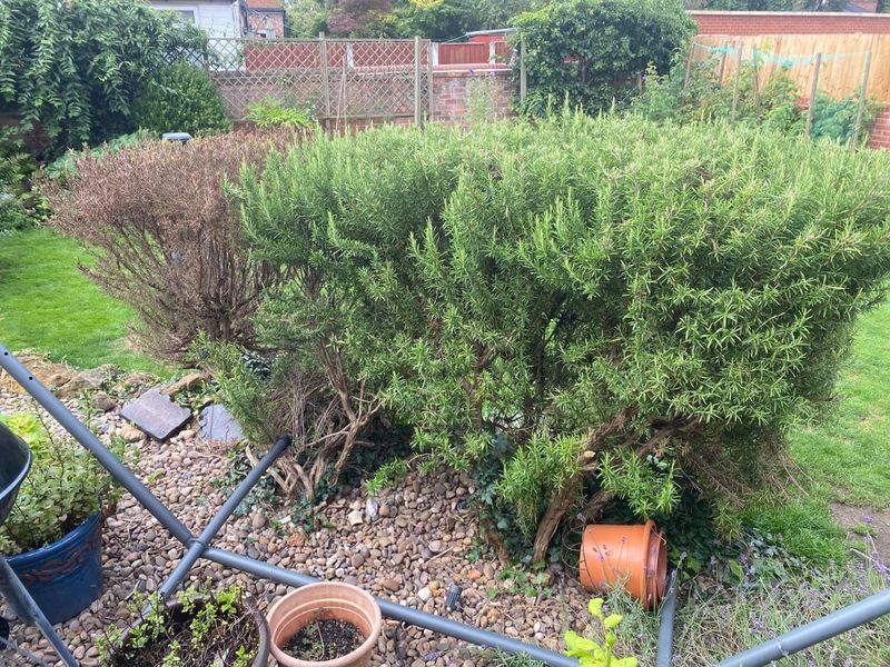Poor Drainage Can Catch Up After Years Of Growth