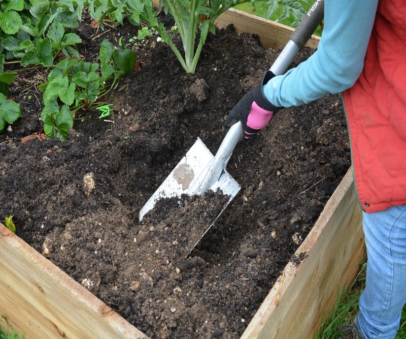 Poor Drainage Can Work Against Newly Planted Roots Poor Drainage Can Work Against Newly Planted Roots