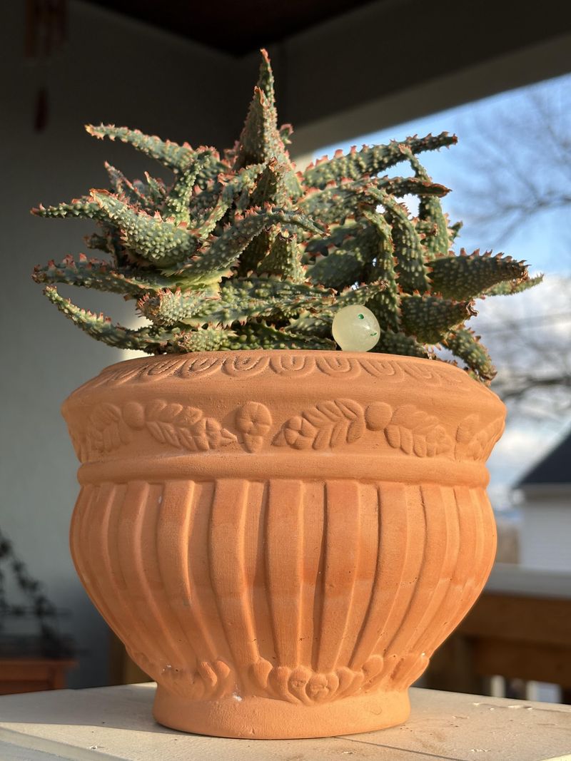 Pots That Heat Up Faster Than You'd Expect