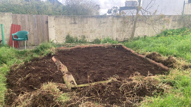 Prepare Soil Before Transplants Arrive