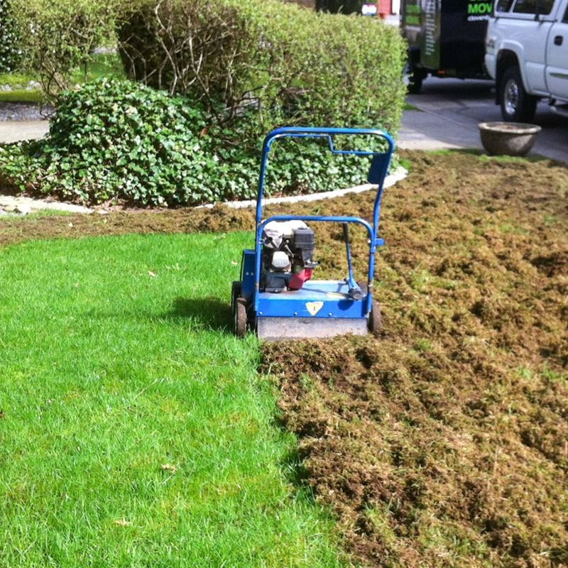 Preparing The Surface So Seed Reaches Actual Soil Preparing The Surface So Seed Reaches Actual Soil