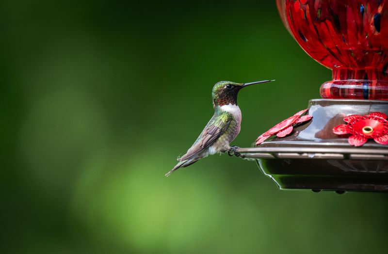 Preparing Your Garden For Next Spring