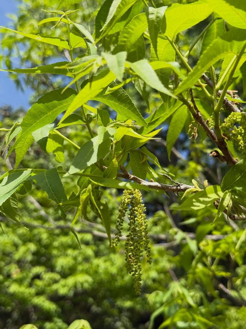 Preventing Damage In Future Growing Seasons