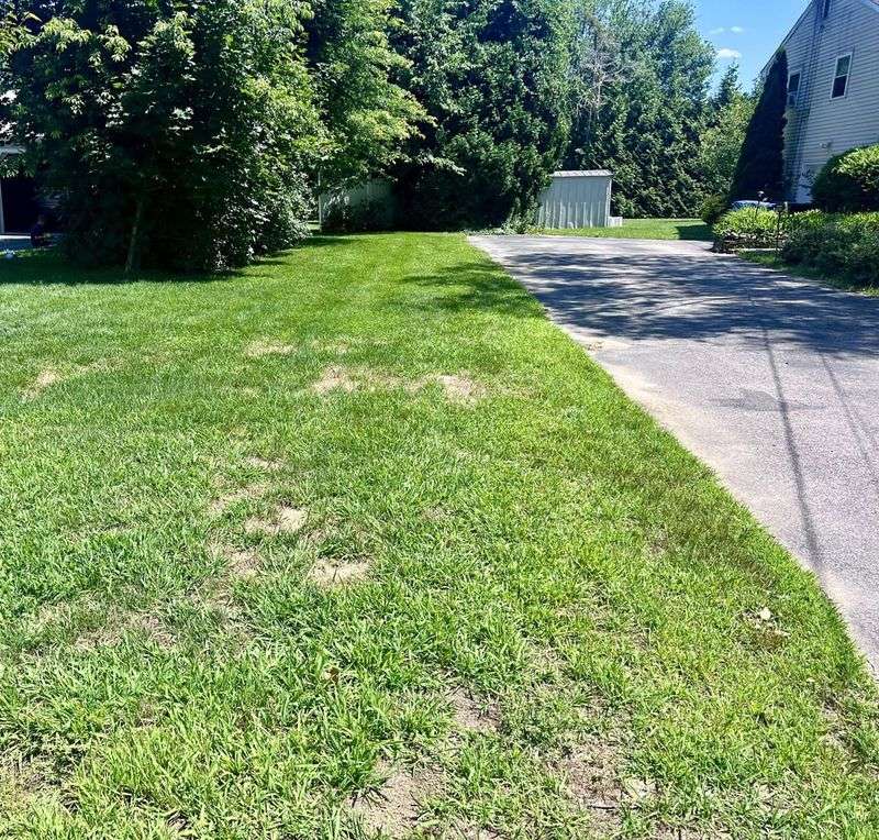 Property Lines Matter More Than Personal Opinions