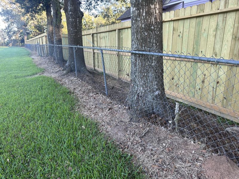 Property Lines Matter More Than Where The Tree Trunk Sits