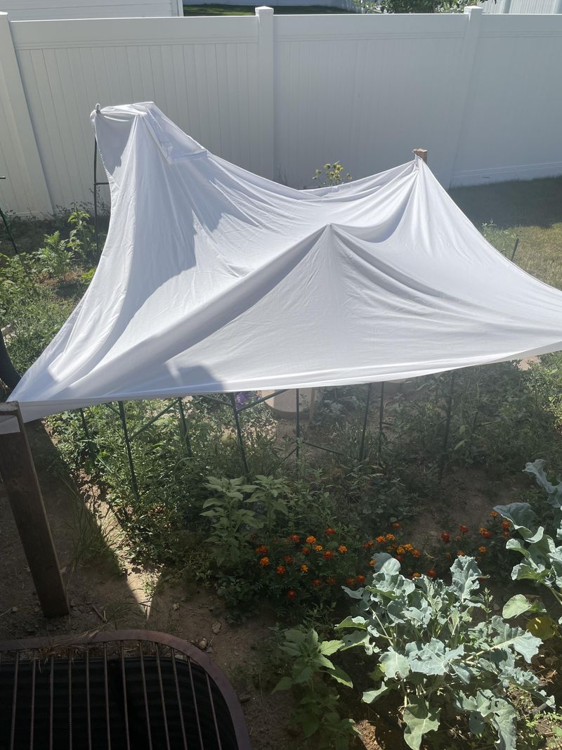 Protect Every Transplant From Heat