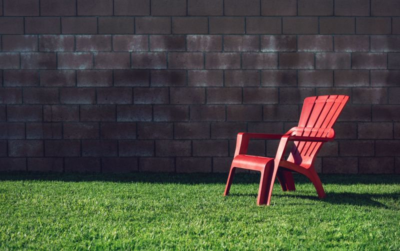 Protecting Your Backyard Long-Term Against Mold