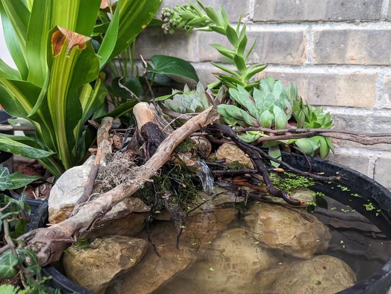 Protecting Your Micropond Through Wyoming Winters
