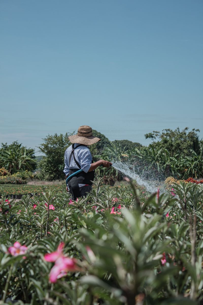 Protecting Yourself From Heat Stress While You Work Protecting Yourself From Heat Stress While You Work