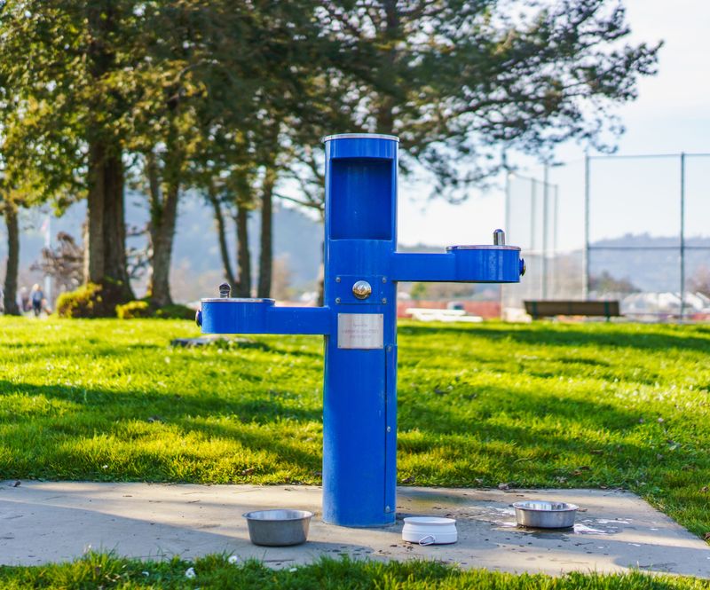 Provide A Fresh Water Station Outdoors Provide A Fresh Water Station Outdoors