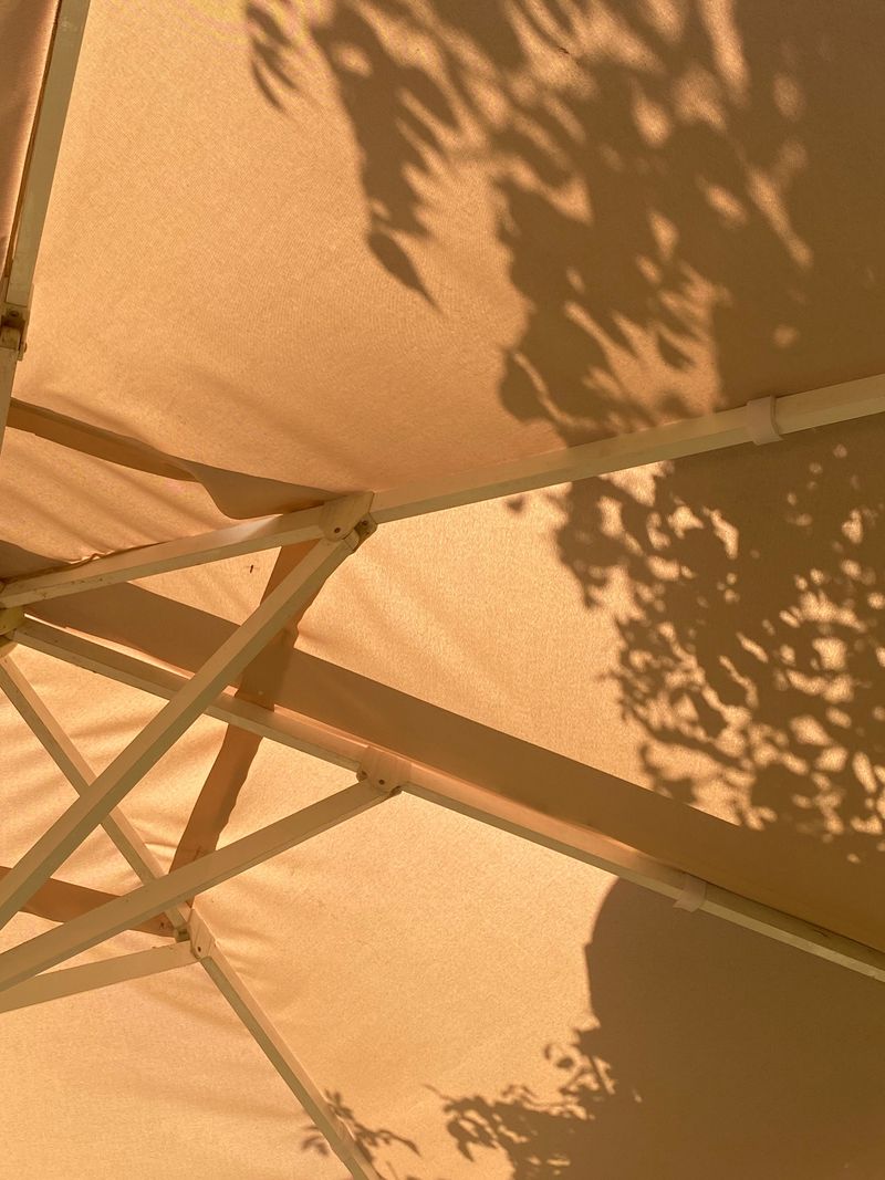 Provide Afternoon Shade During Peak Summer Heat Provide Afternoon Shade During Peak Summer Heat
