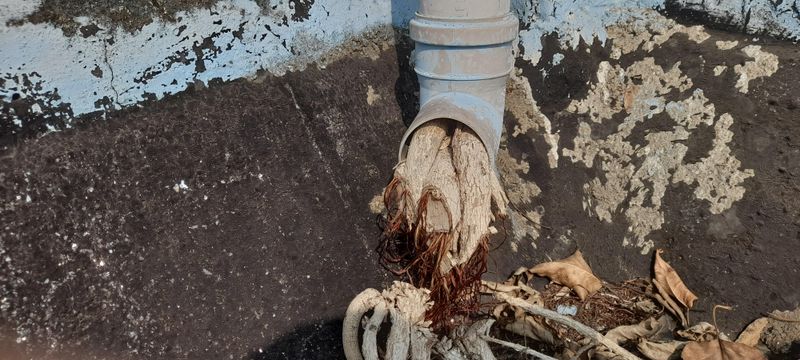 Public Sewer Lines May Be The City's Responsibility Public Sewer Lines May Be The City's Responsibility