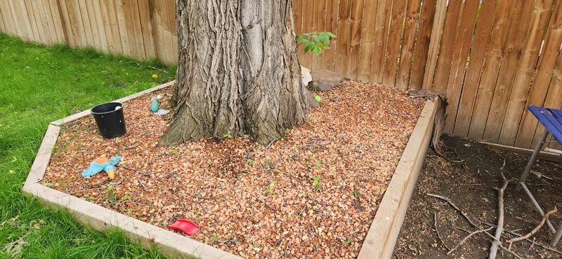 Pull Mulch Away From Stems Pull Mulch Away From Stems