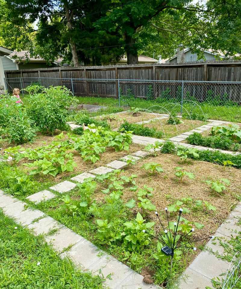 Pull Summer Weeds Before They Set Seed