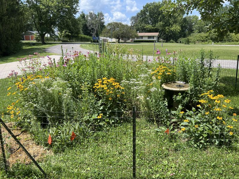 Pulling Back Overgrowth Often Becomes A Seasonal Job Pulling Back Overgrowth Often Becomes A Seasonal Job