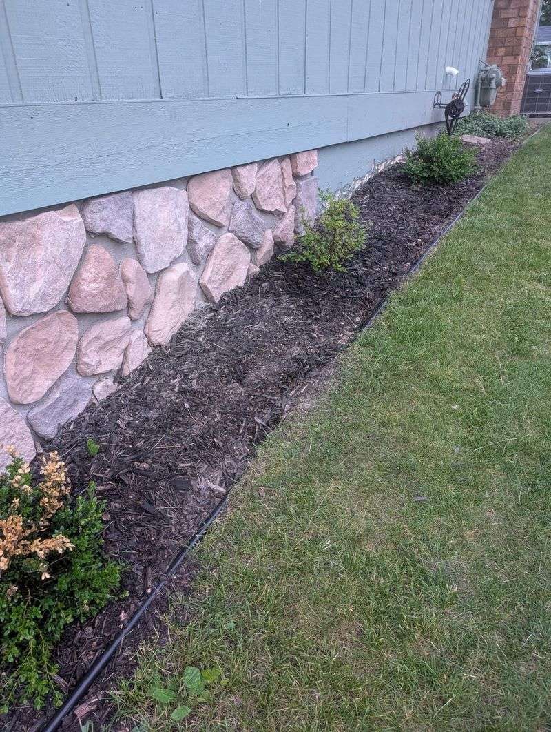 Pulling Mulch Back From The Foundation Reduces Roach Activity Pulling Mulch Back From The Foundation Reduces Roach Activity