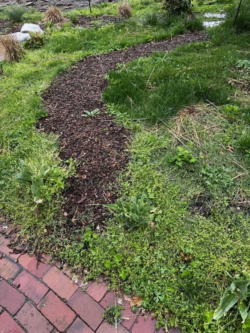 Pulling Too Fast And Scattering Seeds Everywhere