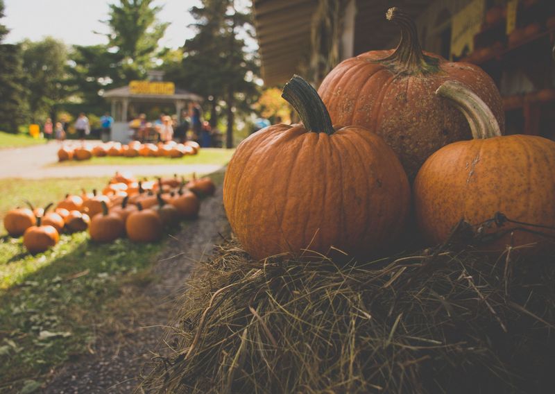 Pumpkins