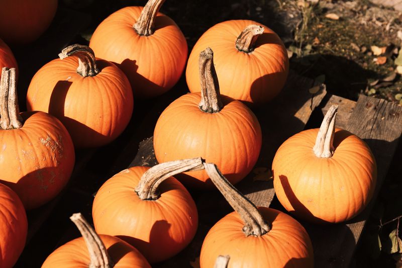 Pumpkins
