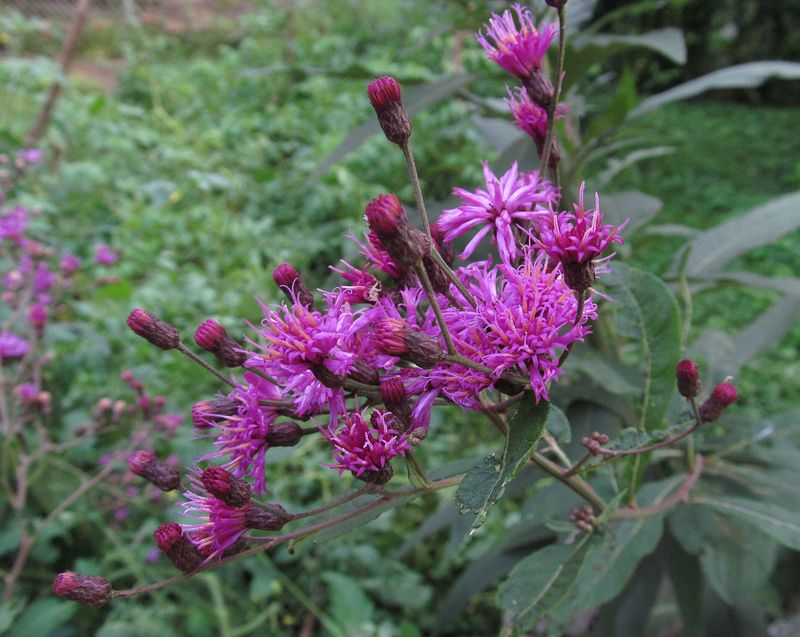 Put Moist Soil To Good Use Put Moist Soil To Good Use