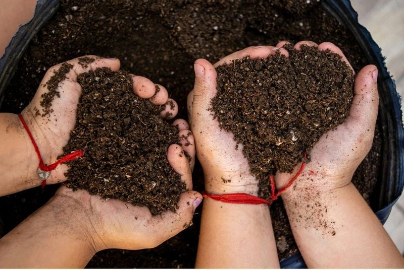Put The Results To Work Before Planting