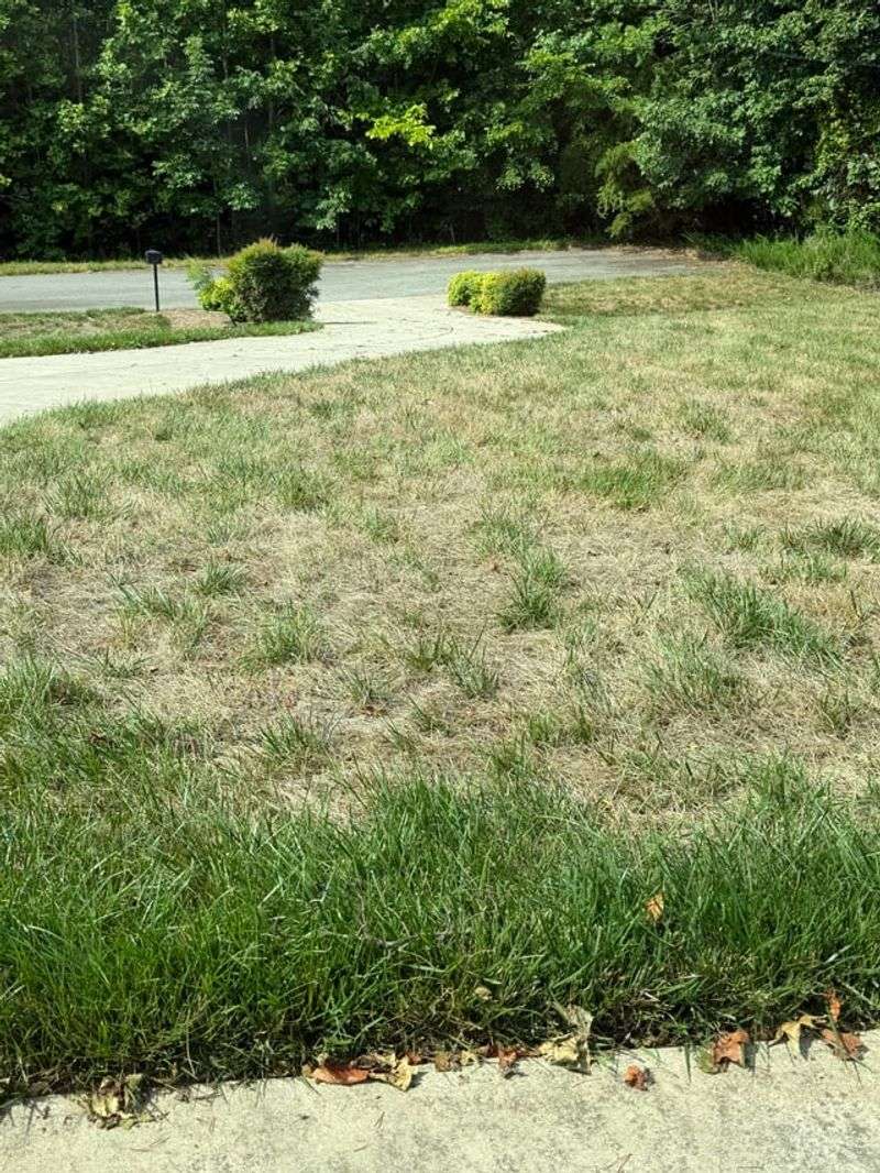 Quick-Release Fertilizer Hits Too Hard Quick-Release Fertilizer Hits Too Hard