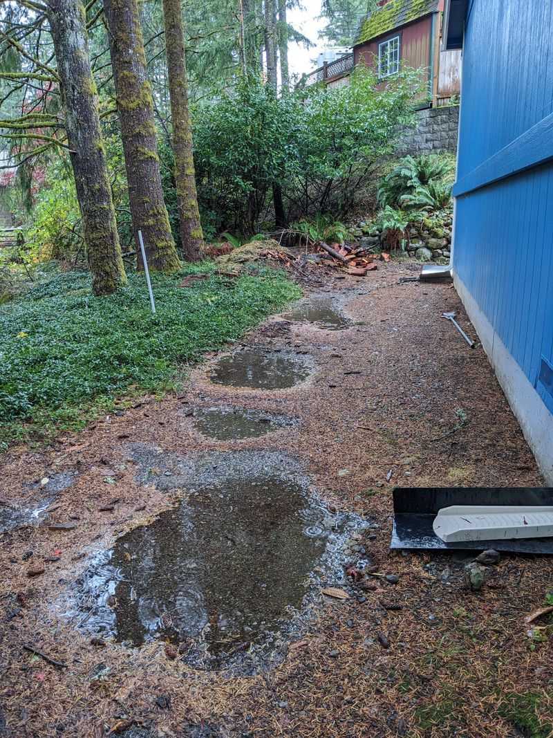 Rain Splashes Soil Onto Plants Rain Splashes Soil Onto Plants